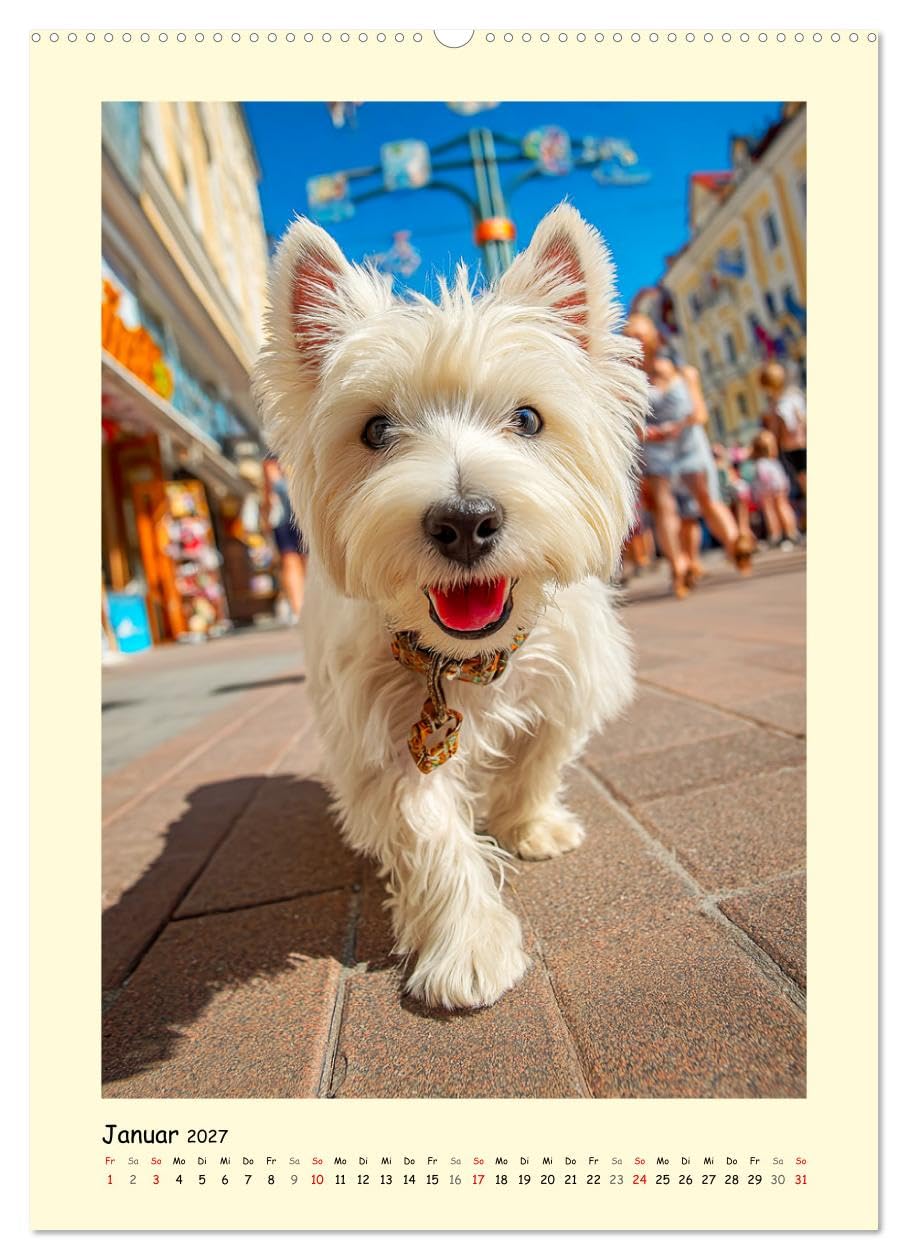 Süßer Wuschelkopf. West Highland White Terrier Momente (Wandkalender 2027 DIN A2 hoch), CALVENDO Monatskalender: Die fröhlichen, mutigen und charmanten Westies in zauberhaften Bildern (CALVENDO Tiere)