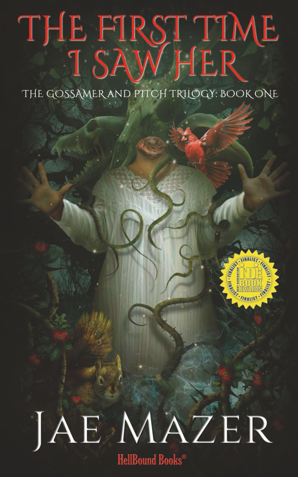 The First Time I Saw Her: The Gossamer and Pitch Trilogy: Book One