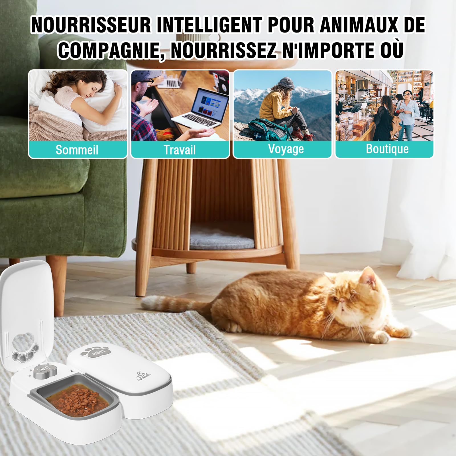 Distributore automatico di crocchette per gatti 2 pasti con display LED e modalità di risparmio energetico, per gatti e cani