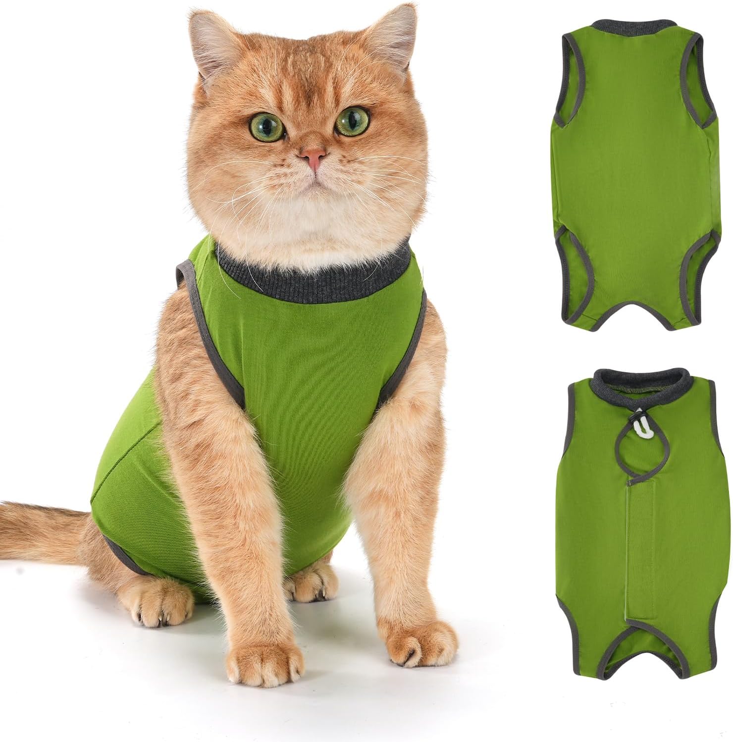 Avont Cat Recovery Suit Female Kitten After Spay Surgery, Breathable Modal Cotton Cat Onesie for Wound & Skin Disease Care, Machine Washable -Purple(L)
