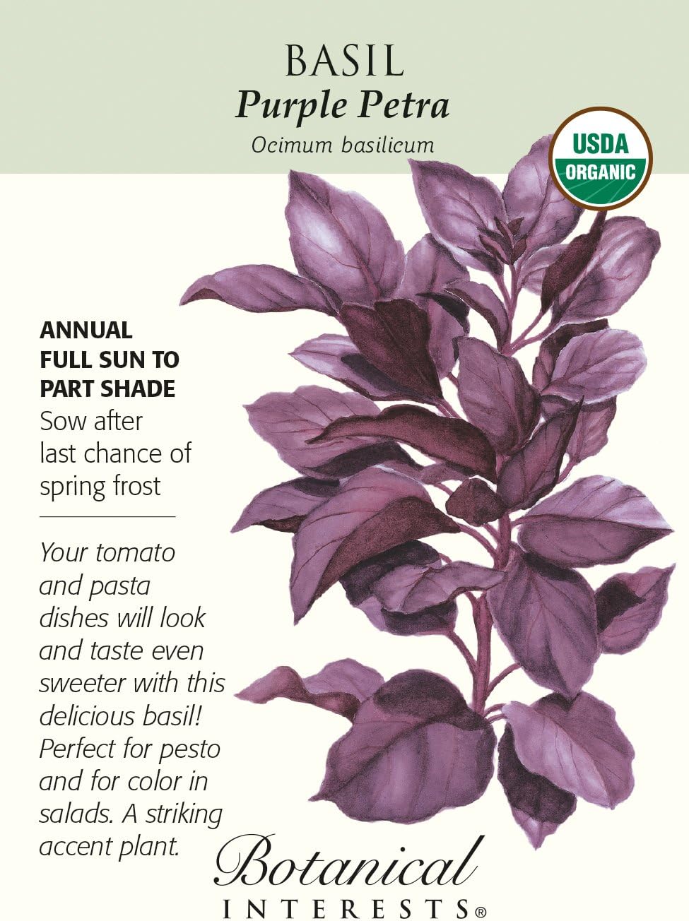 Purple Petra Basil Seeds - 500 mg - Organic