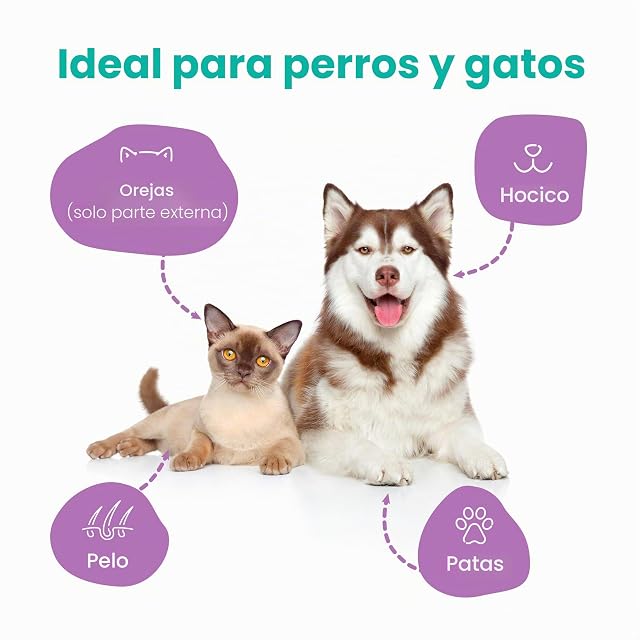 Foto 2 de 5 de CAMON We love pets Toallitas para la Piel Muschio Bianco 20pc