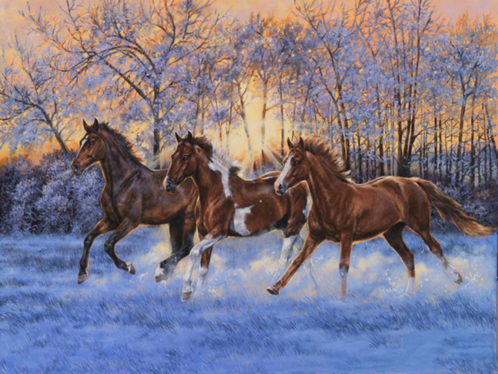 Puzzle en bois adulte de qualite superieure | Casse-tete classique de 520 pieces