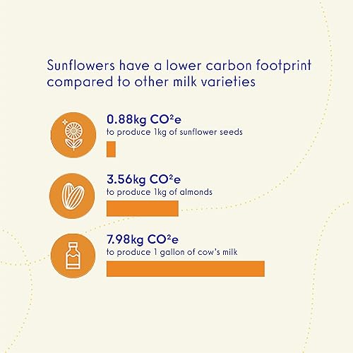 Lattini Leche de girasol no láctea sin azúcar, a base de plantas, vegana, sostenible, sin OMG, alternativa a la leche sin alérgenos, 32 onzas