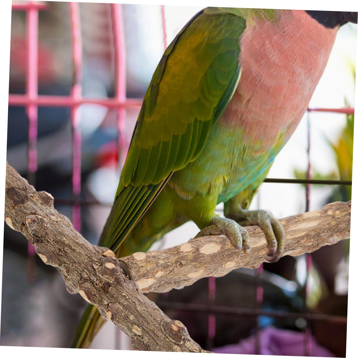 POPETPOP 6pièces Perchoir pour Oiseaux Naturel Jouet De Broyage pour Cage à Oiseaux Accessoires pour Perruches Et Perroquets