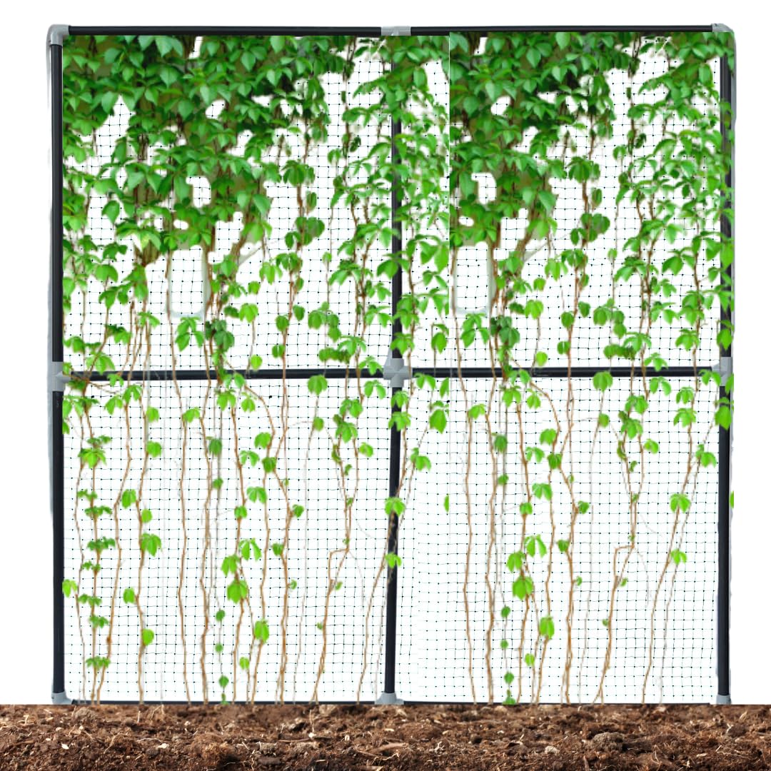 See full amazon price history chart for Trelliskart Garden Plant Support for Climbing Plant Vines Flowers Stands Plant Support Net Lattices for Rose Grape Clematis Cucumber Black Green Garden Net 4 by 4 Feet Trelliskart Garden Plant Support for Climbing Plant Vines Flowers Stands Plant Support Net Lattices for Rose Grape Clematis Cucumber Black Green Garden Net 4 by 4 Feet (B0D7DC9HYF) Amazon Price History, Amazon Price Tracker
