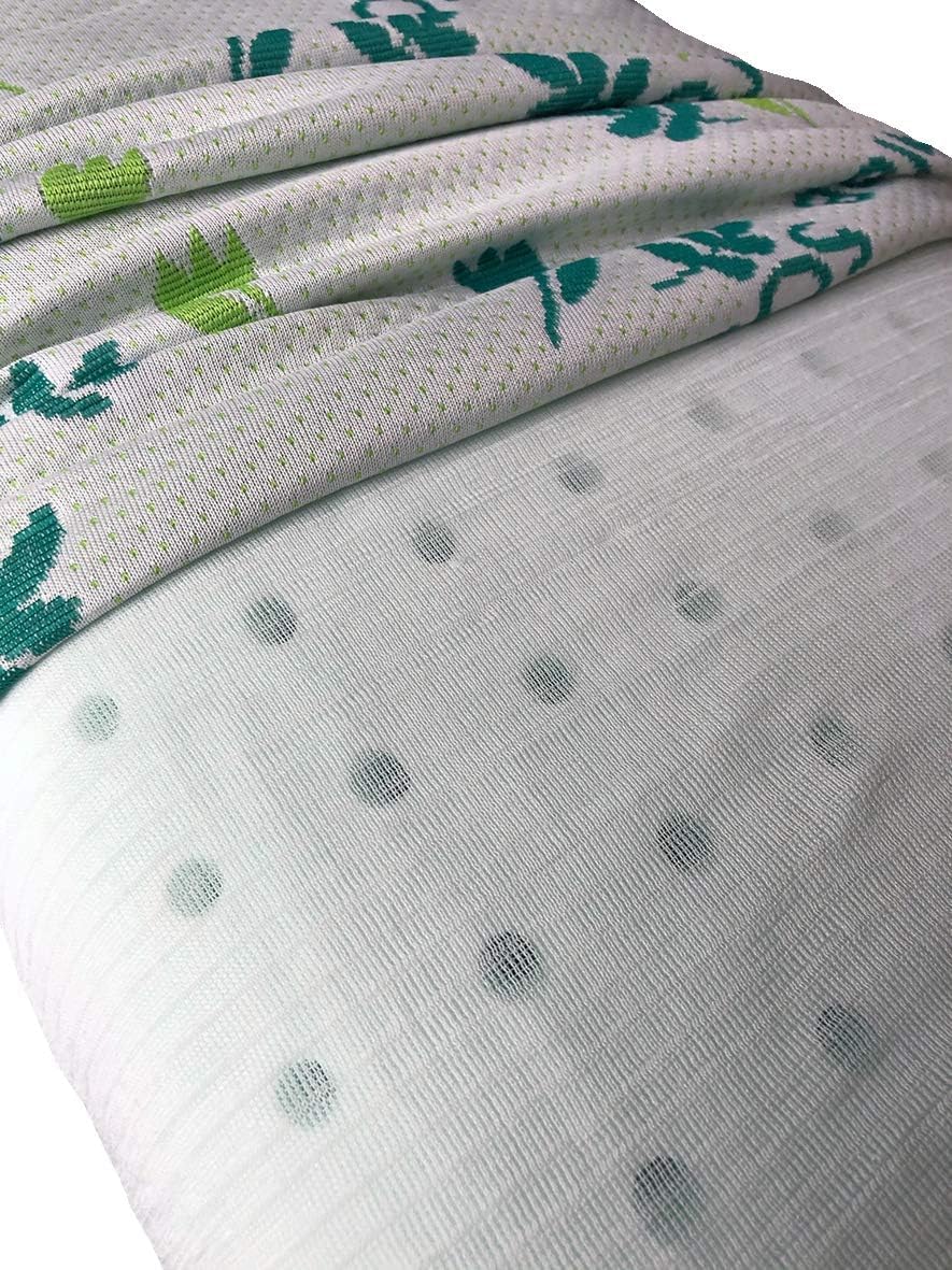 elalmacendelcolchon Pack de 2 Almohadas viscoelasticas, Modelo Aloe Vera con Hilo Plata y Doble Funda, 60 x 40 x 12 cm, Máxima Adaptabilidad - Todas Las Medidas, Blanco y Beis