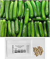 Harley Seeds US Grown Heirloom Persian Beit Alpha Lebanese Cucumber Seeds - Non-GMO Burpless Sweet Crispy Non-Bitter 30 Pack
