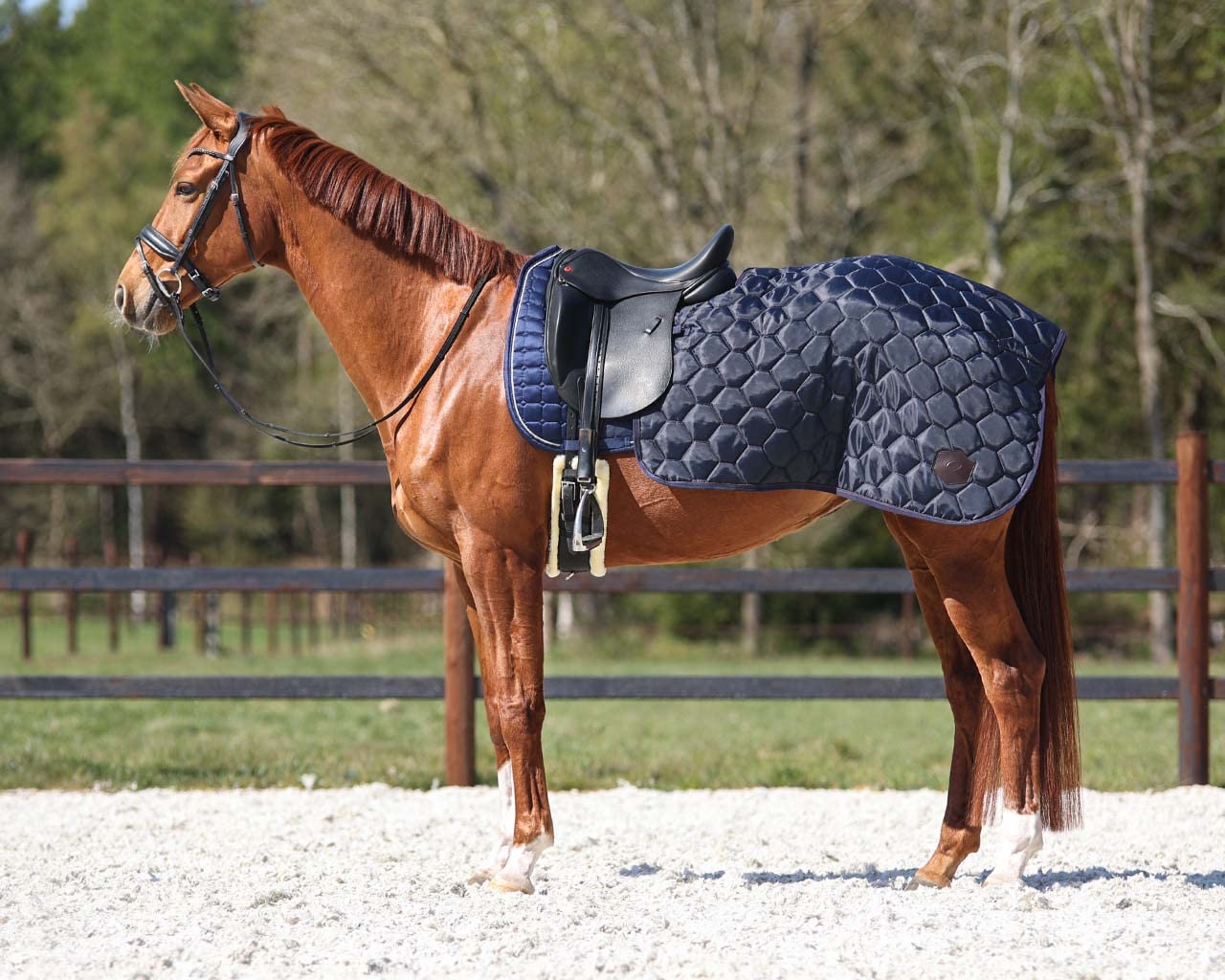 Couverture d'équitation QHP Quarter Classy bleu marine en taille S avec doublure fourrure