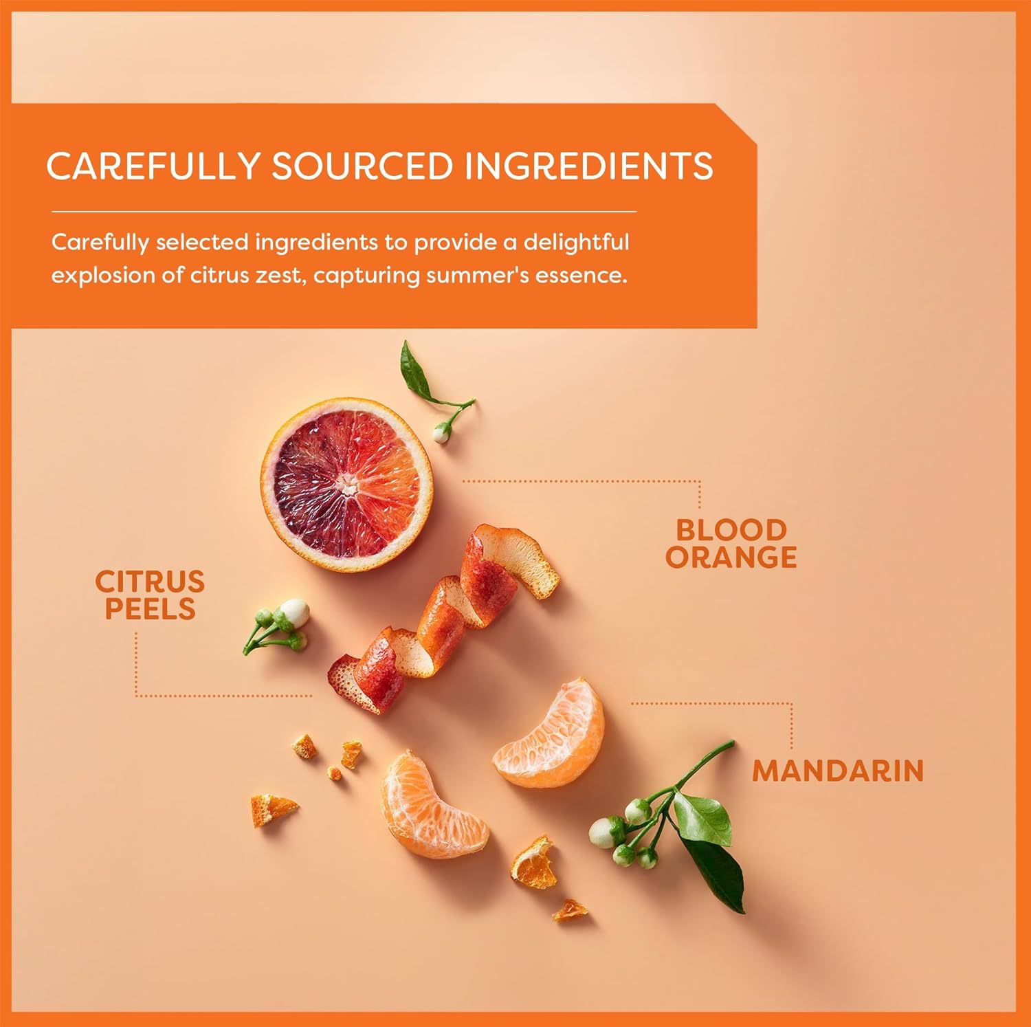 Wissotzky Blood Orange Mandarin Herbal Tea (6 Pack - 120 Tea Bags) | Citrus Blend | Caffeine Free Tea | Uplifting & Bright