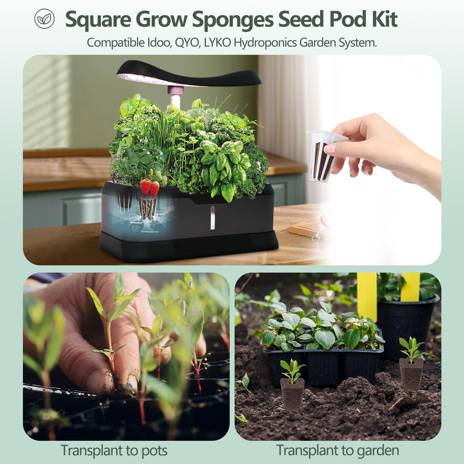 YBB Set di 30 baccelli idroponici, spugne quadrate per la crescita delle piante, kit di base per semi, tra cui 30 spugne, 30 cestini, 30 cupole, 30 adesivi, compatibili con IDOO, QYO, LYKO Hydroponics