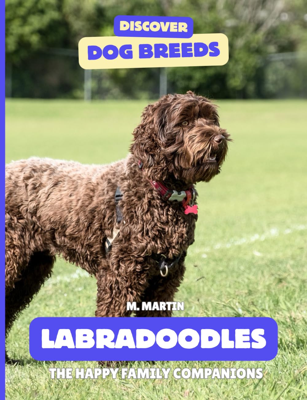 Labradoodles: The Happy Family Companions (Discover Dog Breeds)