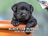 Vista 228 de Razas de Perros 2017