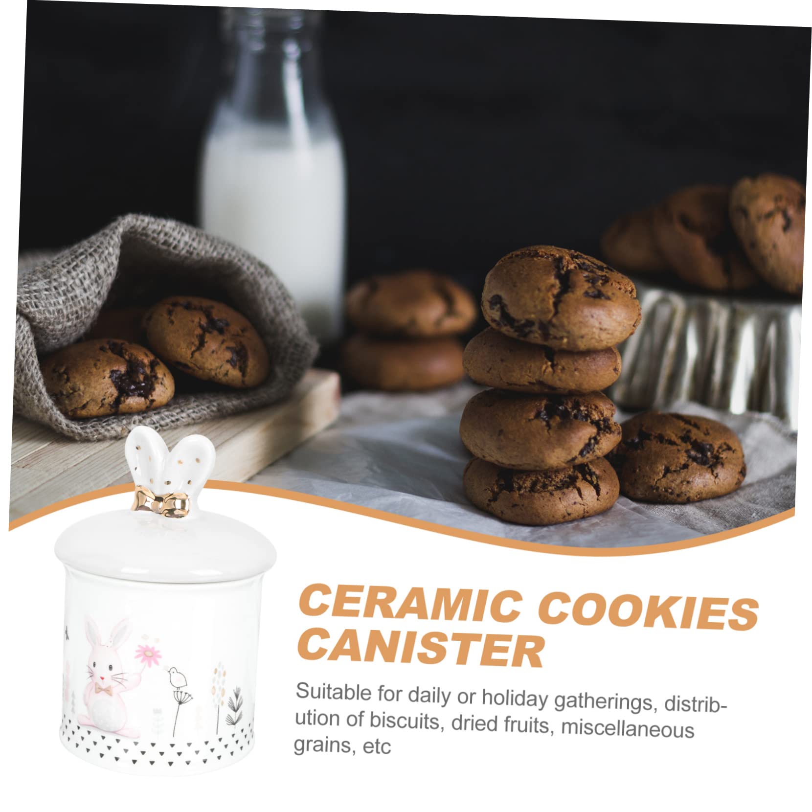 Zerodeko Barattolo Per Tè in Ceramica Contenitore Sigillabile Per Biscotti Barattolo Per Conservazione Domestica Porta Biscotti Coperchio Ermetico Per Tè