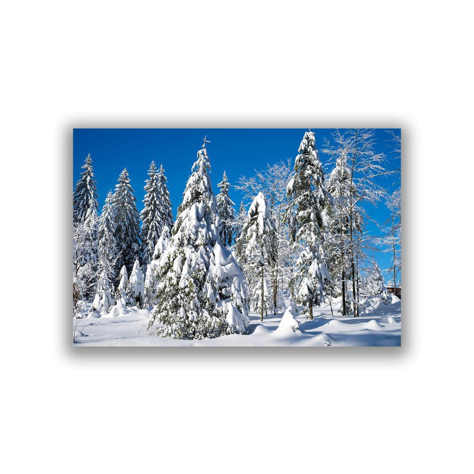 Amazon.co.jp: 冬の風景画-モミの木のある雪の冬の風景-キャンバスに