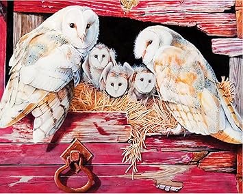 Amazon Co Jp ジグソーパズル500ピースアダルトピースパズル フクロウの家族 子供初心者のためのキャラクターアニメパターン誕生日プレゼント 52x38cm おもちゃ Amazon Co Jp ジグソーパズル500ピースアダルトピースパズル フクロウの家族 子供初心者のためのキャラクターアニメパターン誕生日プレゼント 52x38cm おもちゃ