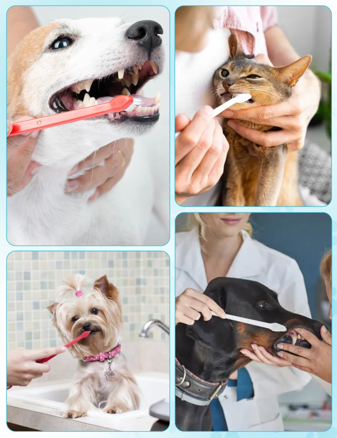 Kit de brosse à dents pour chien, double tête pour chiens de petite et grande taille, chats, chiots et la plupart des animaux de compagnie, poils souples, brosses à dents à long manche, brosse à dents