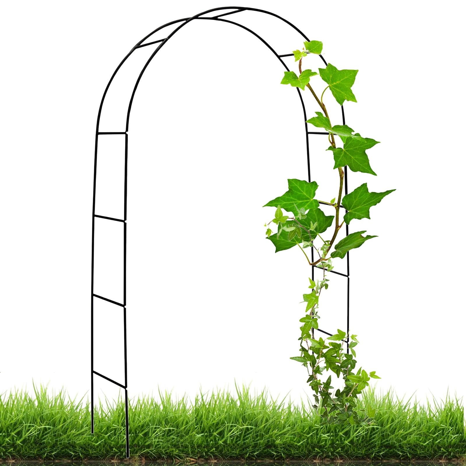 Arche de jardin treillis en acier 140x240cm tuteur plante grimpante