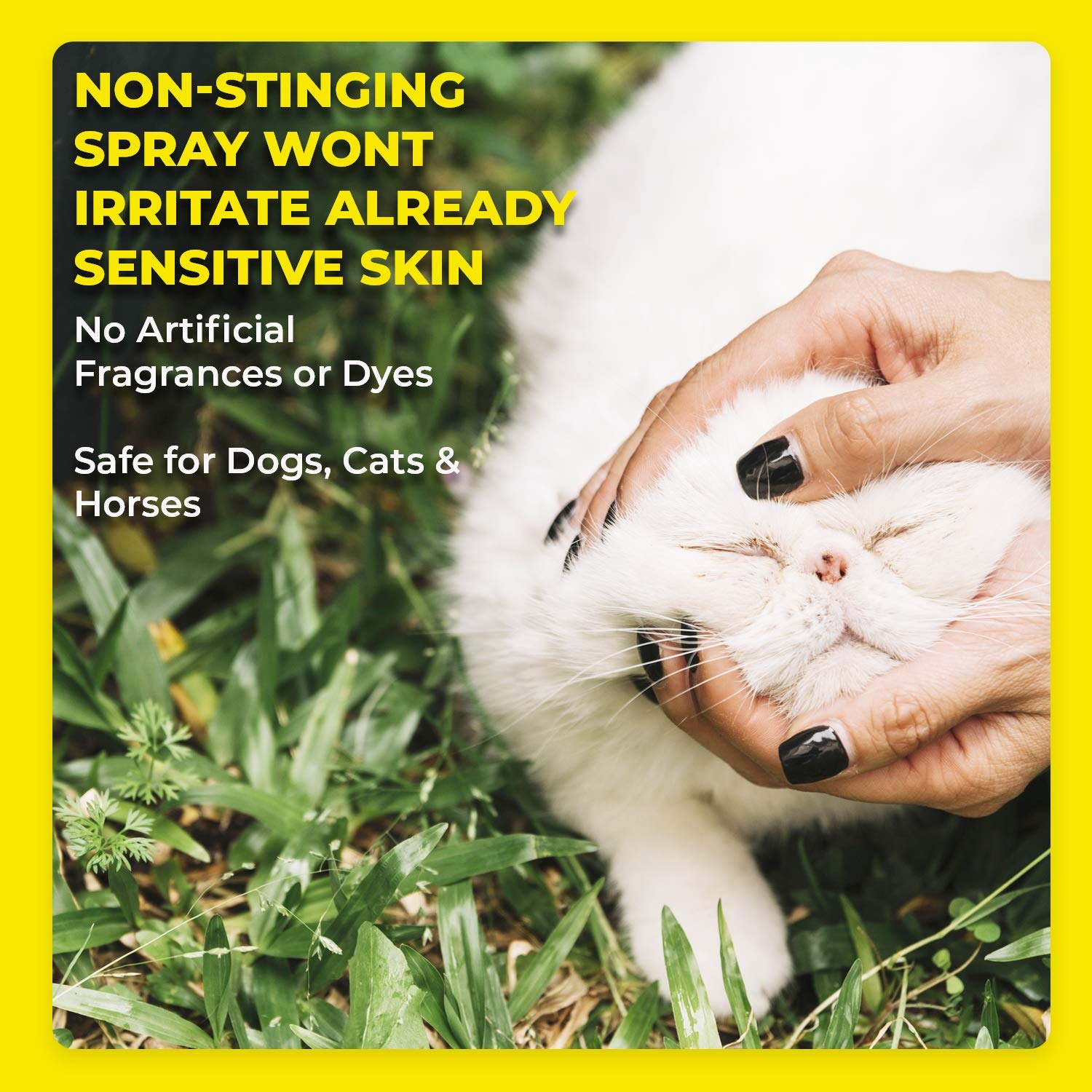 Buy Pet Health Pharma Truseb Hydrocortisone Spray for Dogs, Cats