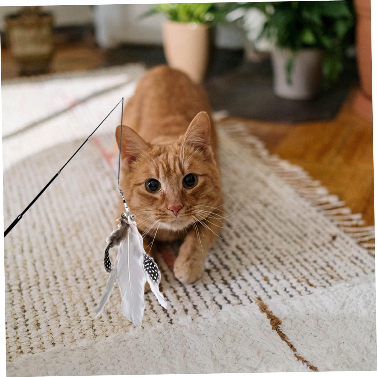 Kisangel Lot De 4 Jouets pour Chat Bâtonnets Interactifs Et Robustes Lot De 2 X 4