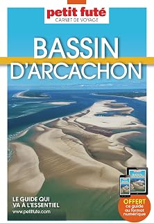 Guide Bassin D'arcachon 2024 Carnet Petit Futé (2024)