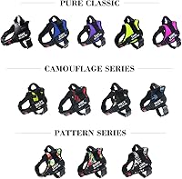 Vista 29 de Personalized No Pull Dog Harness with Custom Name and Phone Number by PawPawify, Heavy Duty Pet Vest to Prevent Tugging, Pulling, or Choking, Blue