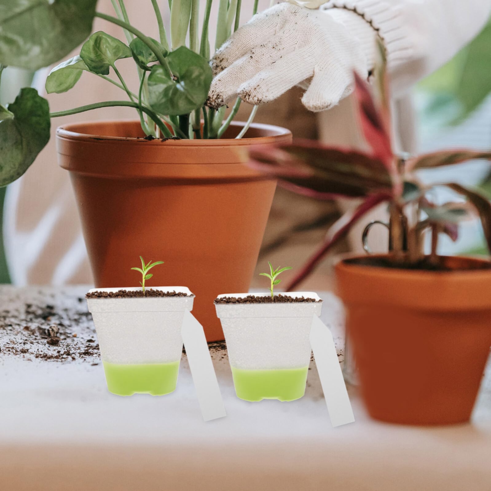 VALICLUD 18 Godets Carrés Transparents en Silicone Souple avec Drainage – Pots de Pépinière Réutilisables 76 CM pour Semis en Serrage Herbes Aromatiques et Plantes Succulentes
