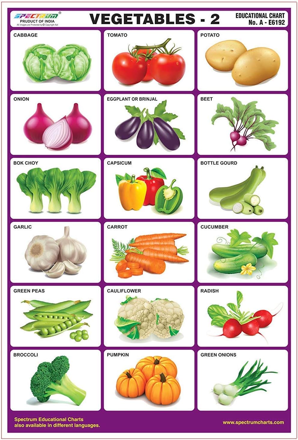 Spectrum Vegetables-2 Pre-Primary Kids Learning Laminated Educational Wall Chart