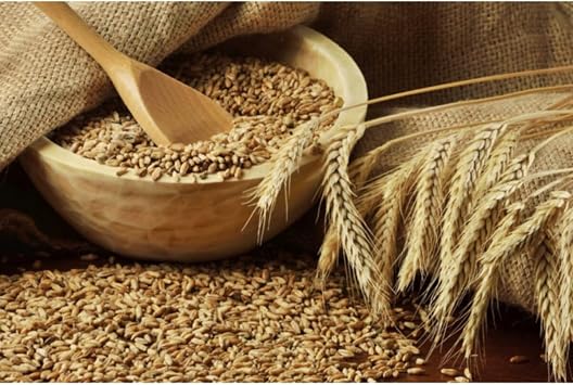 Bu day 1 Kg Do al Hormonsuz Ila s z Tavuk Yemi G vercin Tohumu  imi