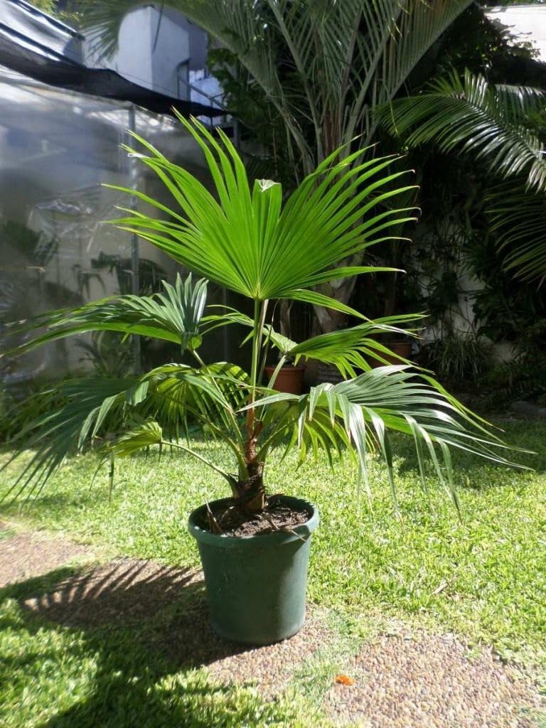 https://m.media-amazon.com/images/I/71M0g3pPs5L._AC_SL1024_.jpg