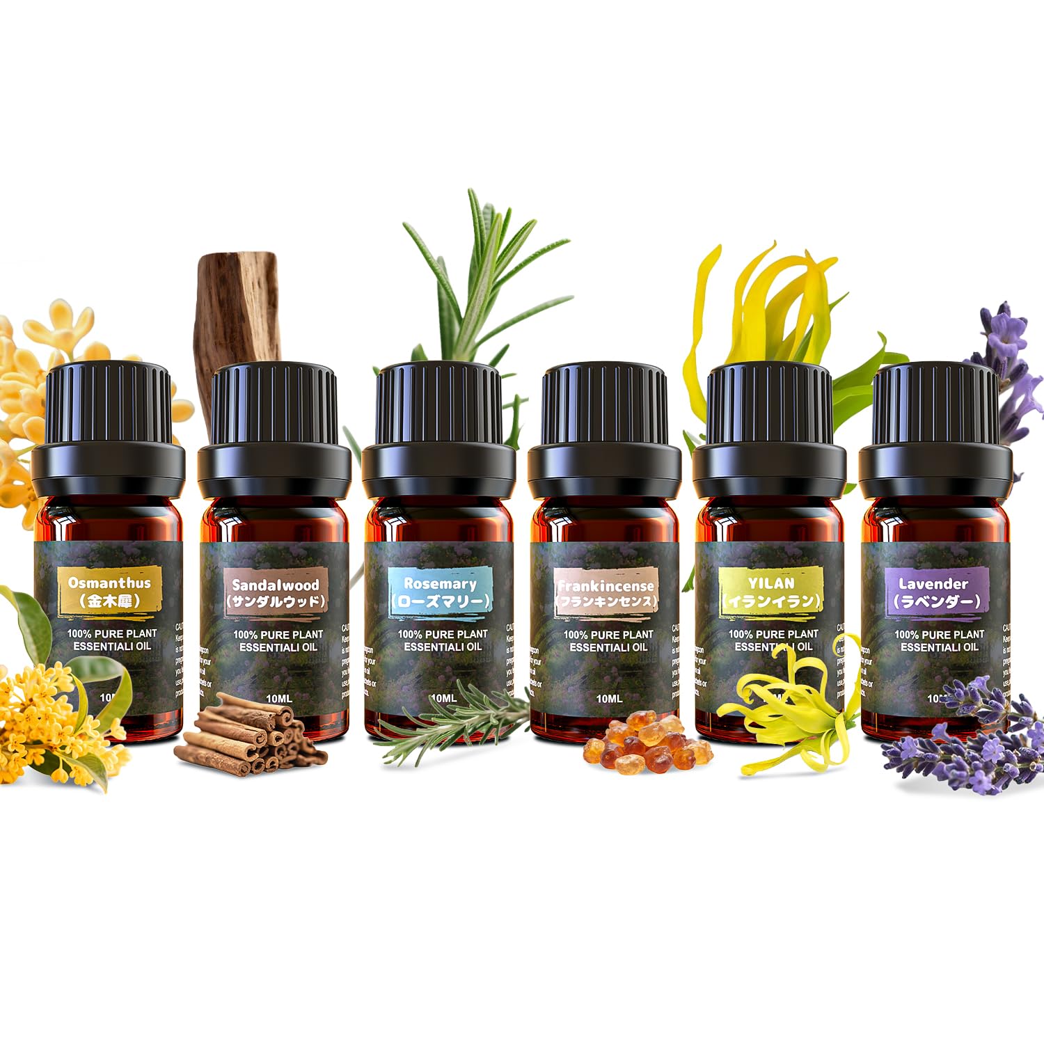 Amazon.co.jp: アロマオイル 精油 エッセシャンオイル 純天然抽出