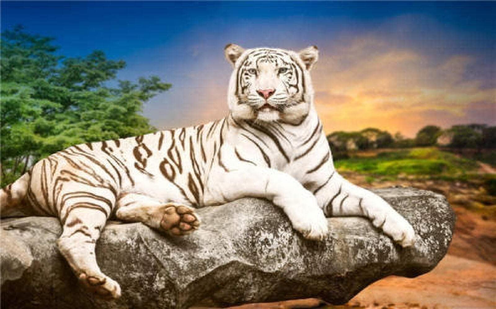 Puzzle 1314 Teile für Erwachsene, weißer Tiger, Spielzeug für Kinder, Puzzles für Erwachsene, ein gutes Geschenk