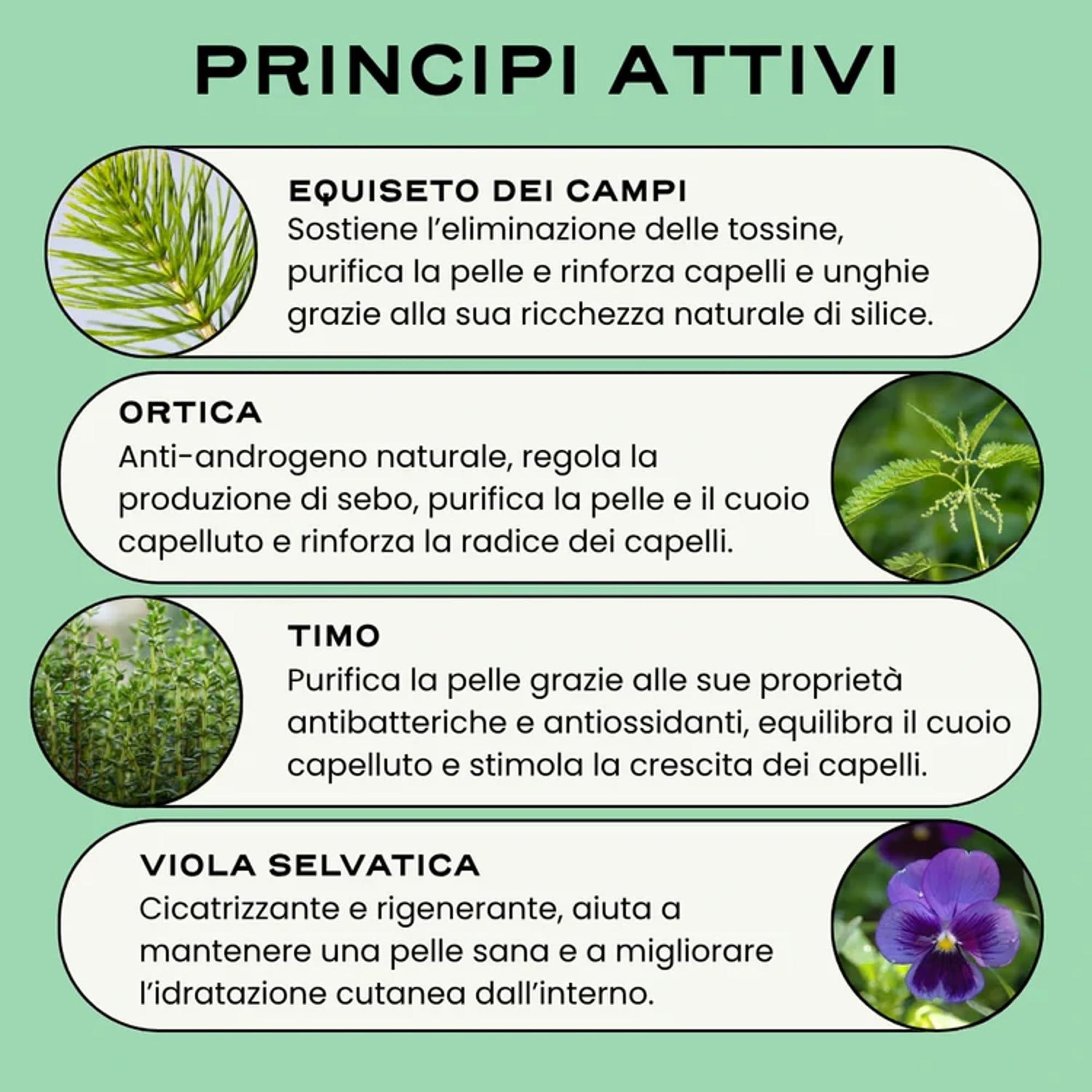 Circles RESET Infusione Bellezza Pelle & Capelli 100g | Equiseto Ortica Calendula Viola del Pensiero | Anti-Età | 100% Naturale Vegan | Made in France