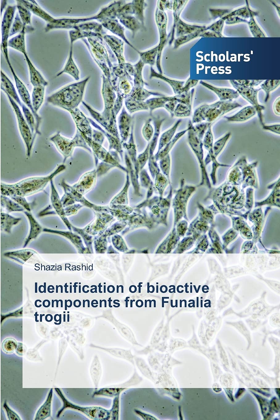 Identification of bioactive components from Funalia trogii