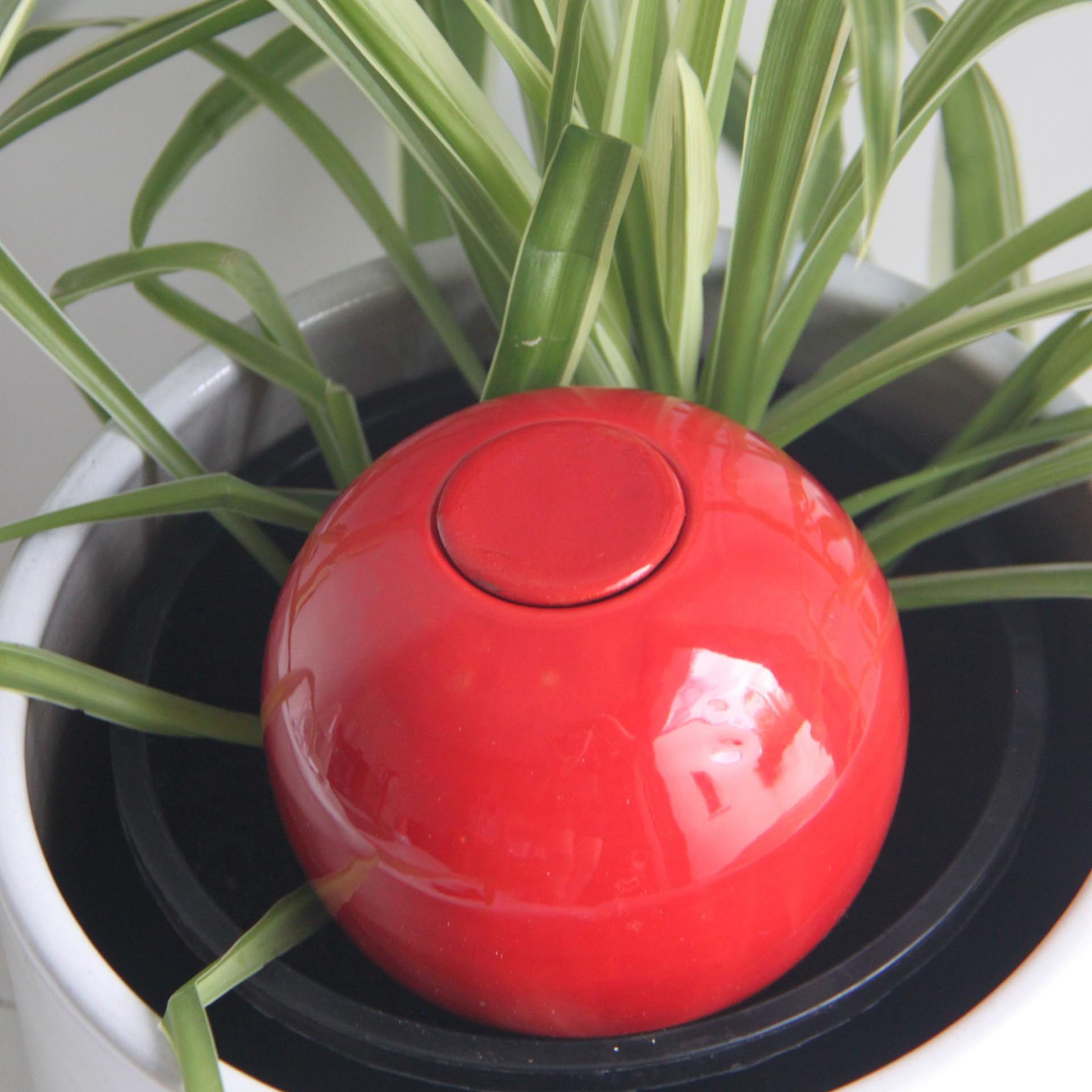 Olla En Terre Cuite à Enterrer 40cl - Arrosage Autonome Pour Plantes Extérieures - Autonomie 3-4 Jours - Fabriqué En France