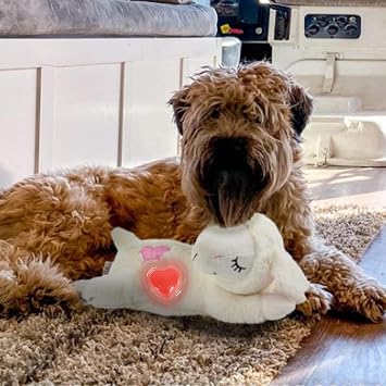 Pet Heartbeat Simulator | Replacement Heartbeat Toy For Puppy | Sensory Heart Beat Simulation Soother For Pets | Puppy Heart Beat Simulator For Plush Dogs, Dolls, Stuffed Animals