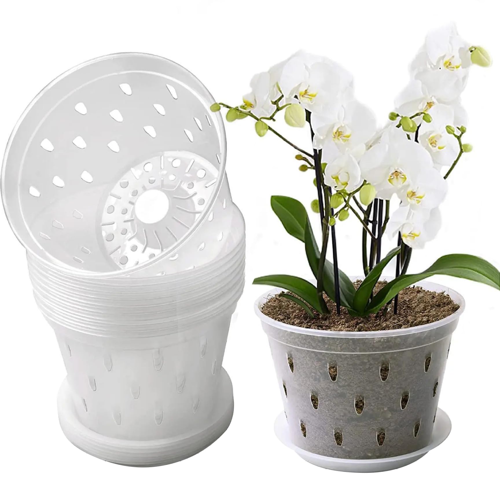 Pots à orchidées 6, 7 Pouces 10 Ensembles de jardinières à orchidées en Plastique Transparent avec Trous et soucoupes Pots de Plantes Transparents Fentes Respirantes pour, Plantes succulen