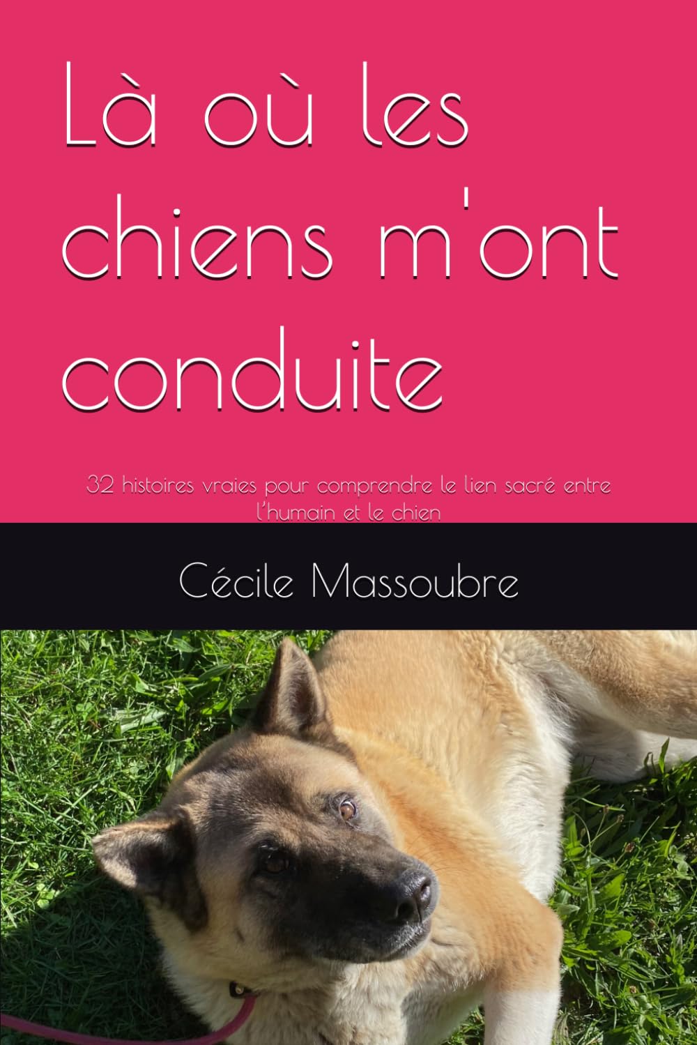 Là où les chiens m'ont conduite: 32 histoires vraies pour comprendre le lien sacré entre l’humain et le chien