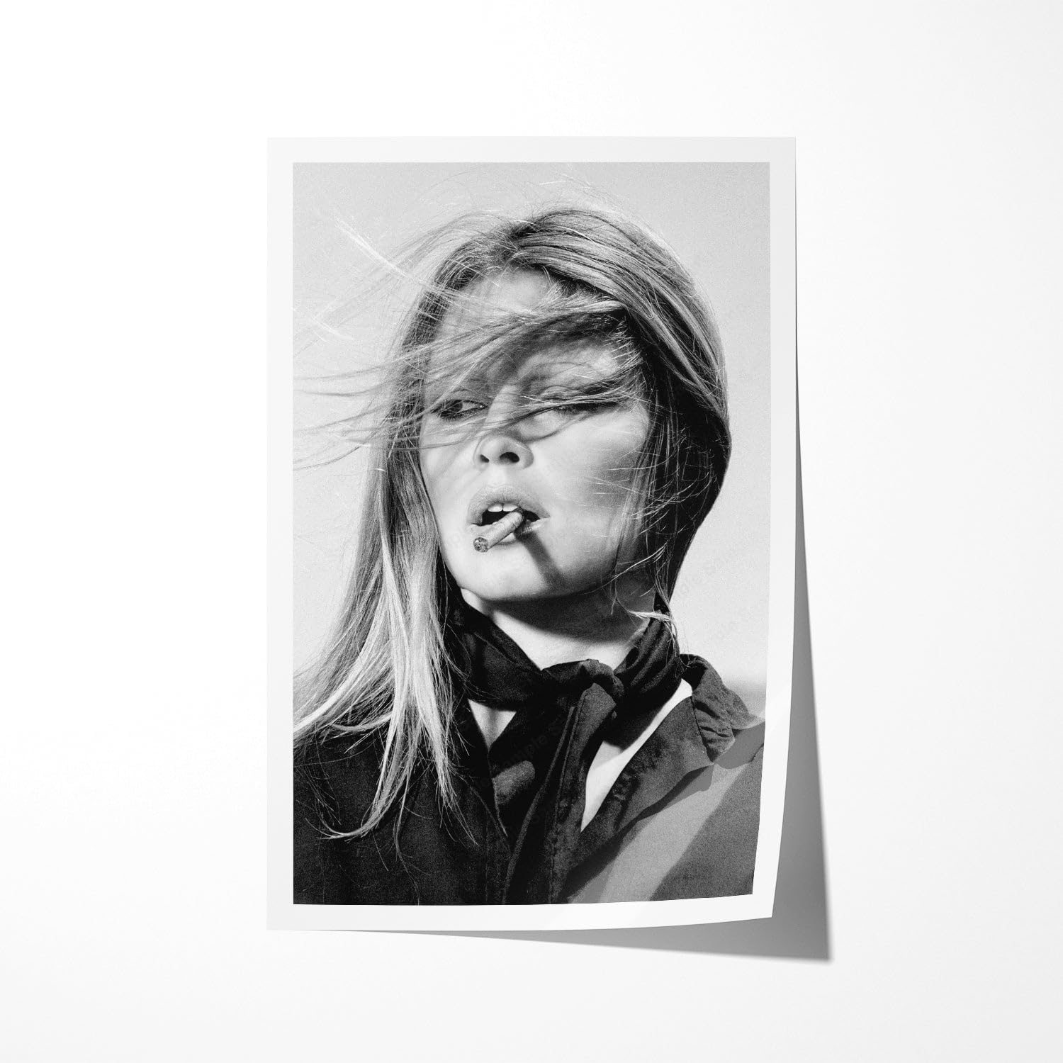 Amazon.com: TLCcollections68 Artwork Brigitte Bardot Poster Paper