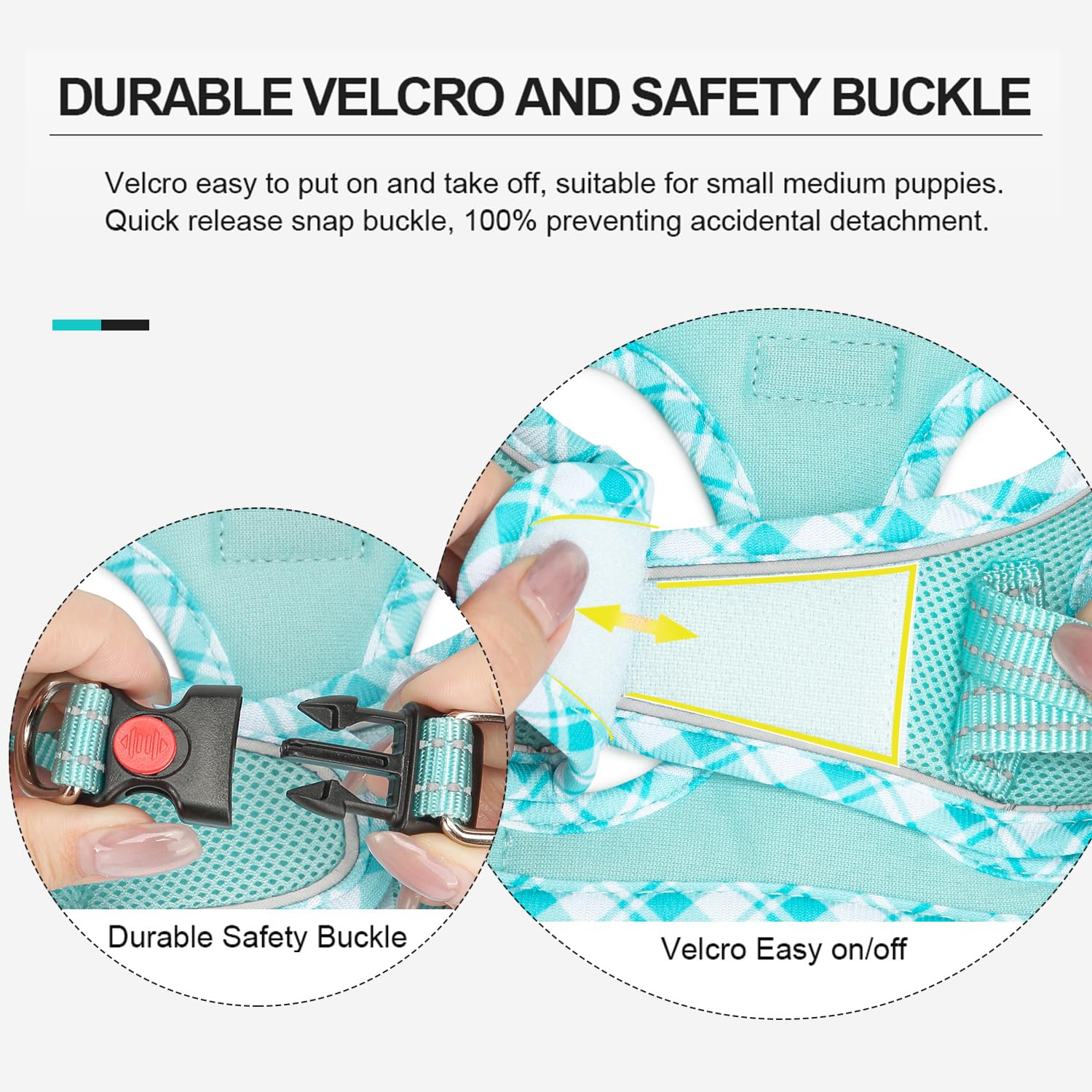 DORAMIO Pettorina Cane Taglia Piccola, Step-in Pettorina per Cani Gatti Cuccioli con Guinzaglio Comodo, Riflettente Traspirante Imbracatura Cane Morbida Imbottito per Passeggiate (XL, Blu Chiaro)