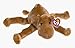 Ty Beanie Buddies Humphrey - Camel by Beanie Buddies