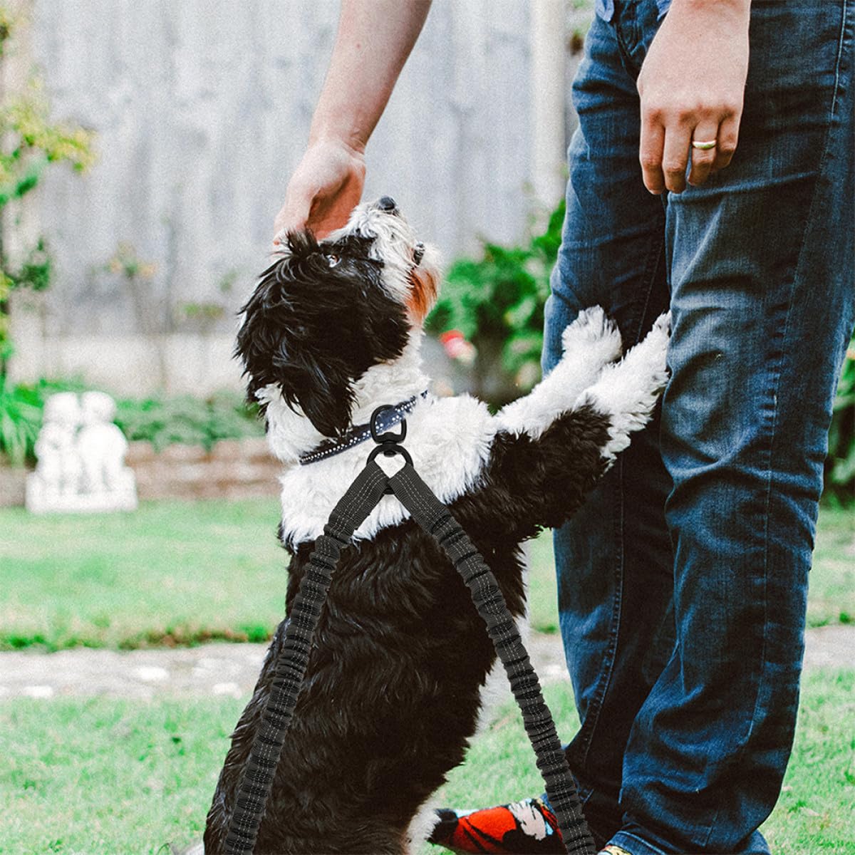 Homoyoyo Correa Doble para Perros de Poliéster y Acero Inoxidable Resistencia a Roturas y Control Manual, Adecuado para Paseos al Aire Libre 3 Piezas
