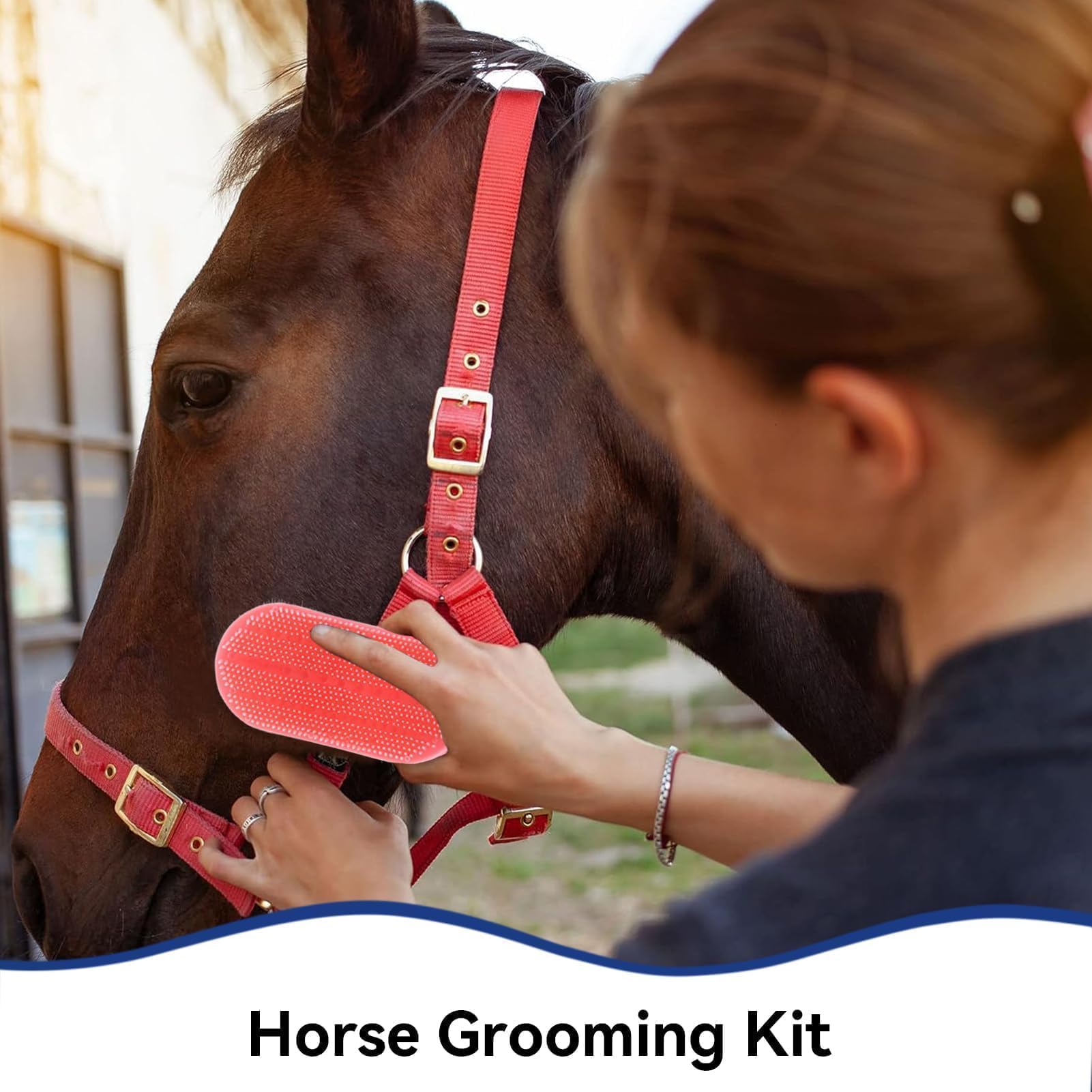 Kit De Aseo Para Caballos De 10 Piezas, Juego De Suministros Para Cuarto De Aperos, Juego De Cepillos Para Caballos, Suministros Para Baño De Caballos Para Jinetes Principiantes