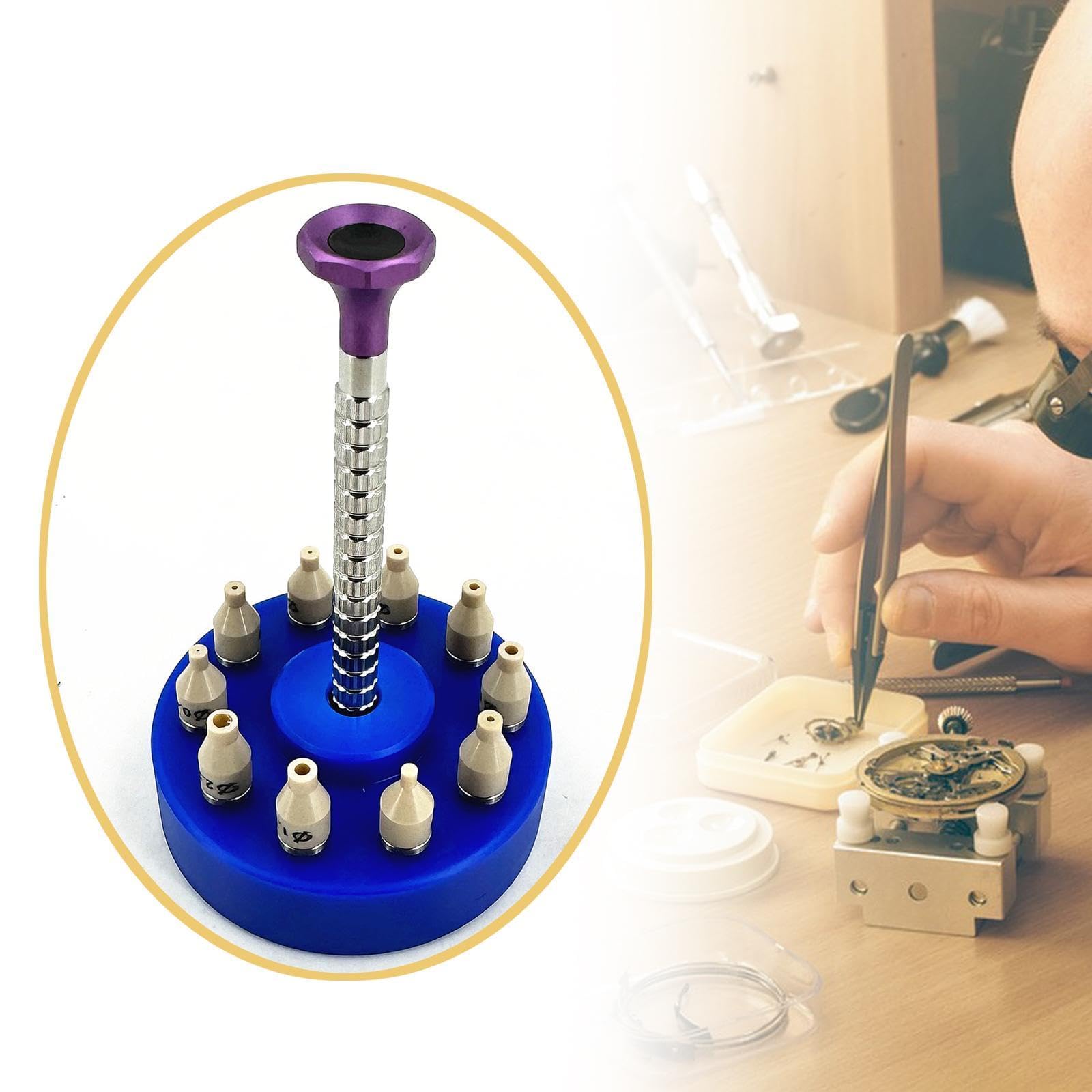 Set di Utensili manuali di precisione per orologiai (Blueg)