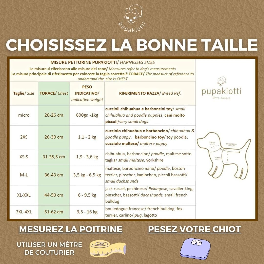 Basic Harnais pour Chien de Taille Petite et Moyenne | Harnais pour Chien Ergonomique et réglable en Cuir véritable fabriqué à la Main en Italie (M-L, Cuir)