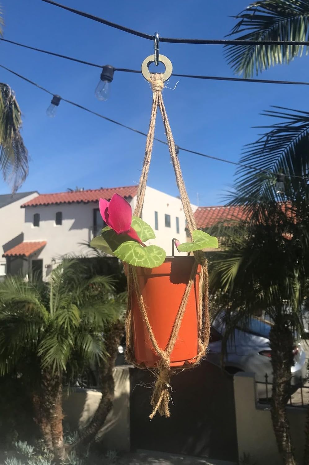 40 Knots and How to Tie Them (Explore More)