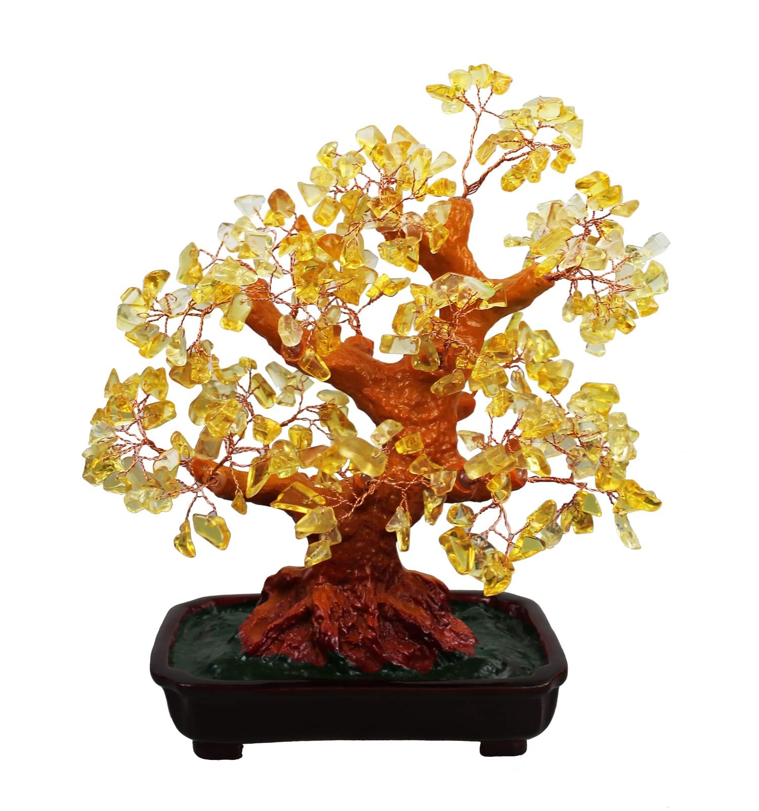 bonsai tree online store Shop Jade Bonsai Online At The Lowest Price- Unlimited Greens   unlimitedgreens