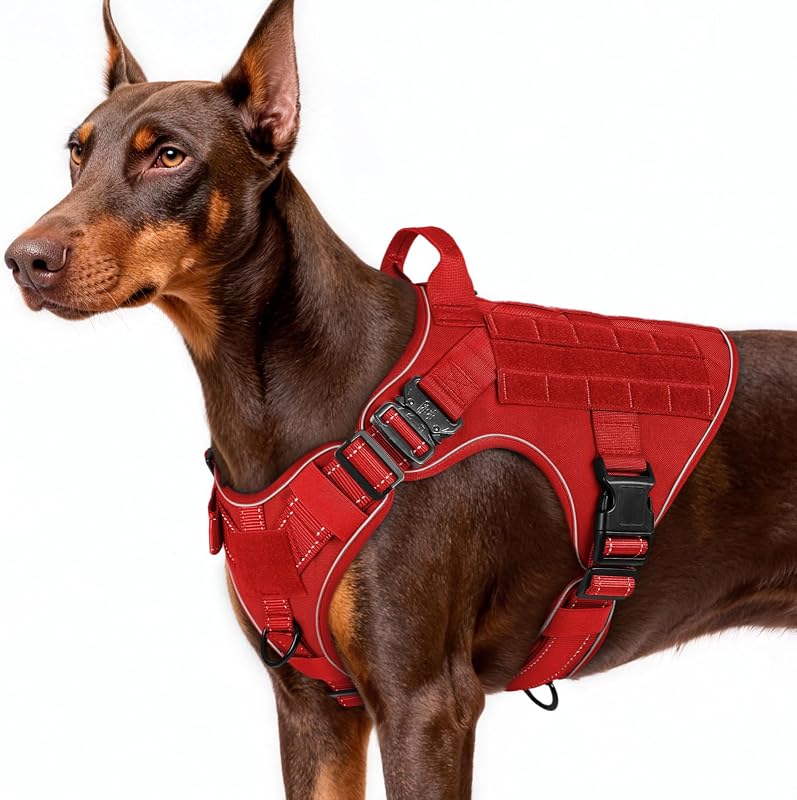 Peitoral tático para cães grandes rabbitgoo com nylon 1050D e controle multiponto