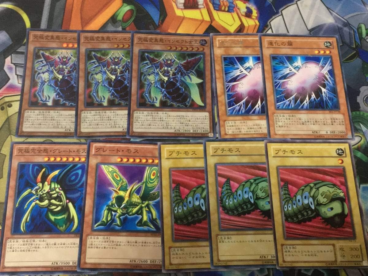 22新春福袋 インセクター羽蛾様専用 プロ野球オーナーズリーグ Www Qiraatafrican Com