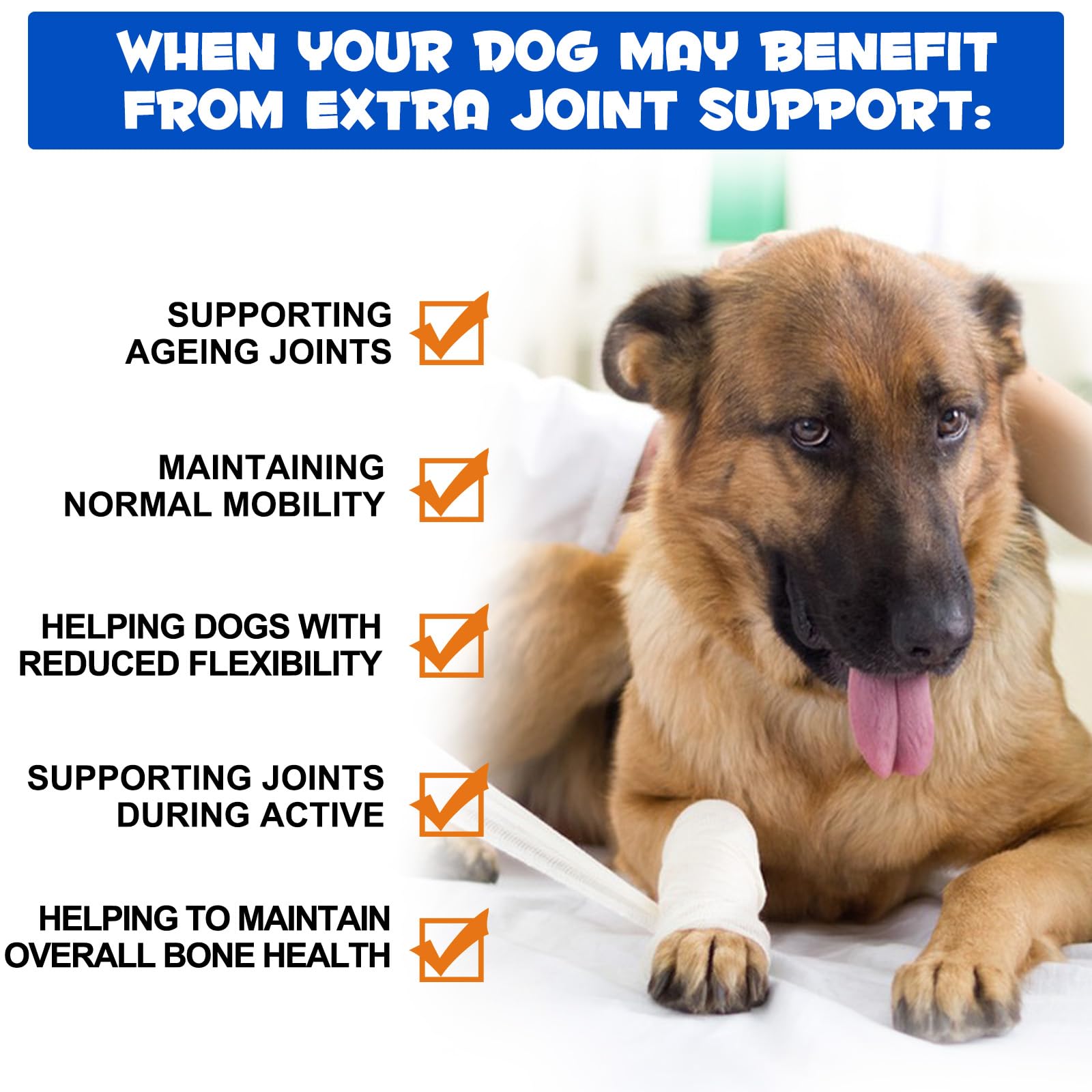 View 3